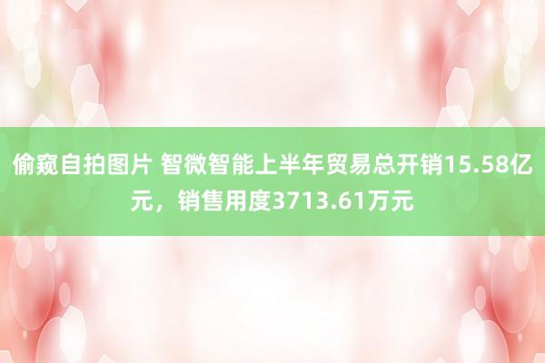 偷窥自拍图片 智微智能上半年贸易总开销15.58亿元，销售用度3713.61万元