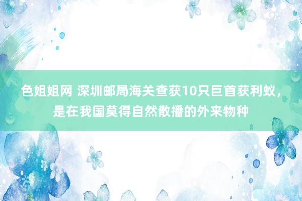 色姐姐网 深圳邮局海关查获10只巨首获利蚁，是在我国莫得自然散播的外来物种