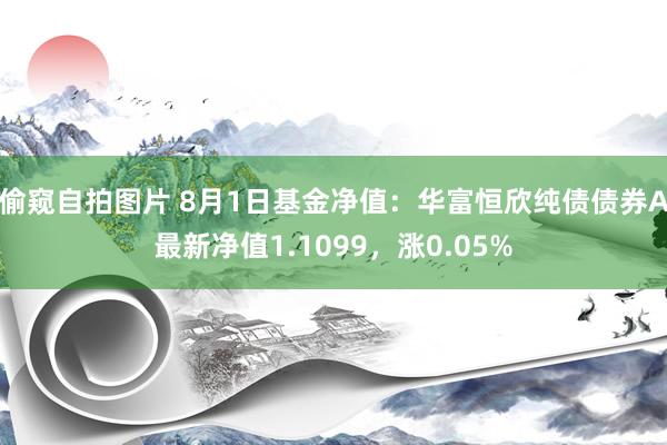 偷窥自拍图片 8月1日基金净值：华富恒欣纯债债券A最新净值1.1099，涨0.05%