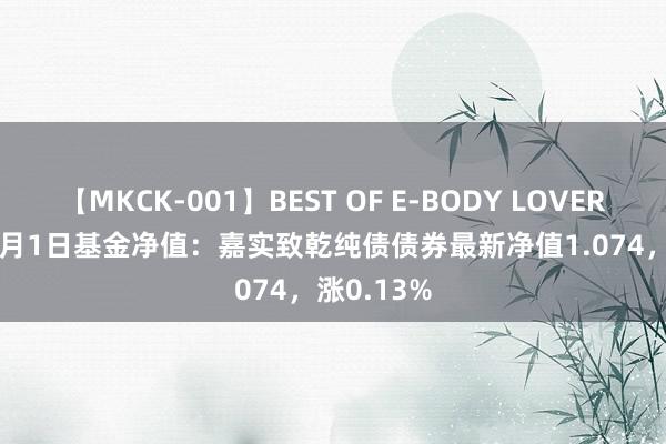 【MKCK-001】BEST OF E-BODY LOVERS 2008 8月1日基金净值：嘉实致乾纯债债券最新净值1.074，涨0.13%