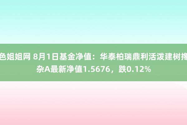 色姐姐网 8月1日基金净值：华泰柏瑞鼎利活泼建树搀杂A最新净值1.5676，跌0.12%