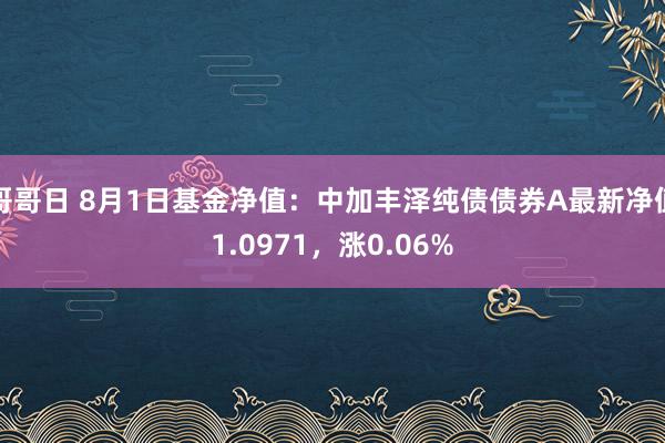 哥哥日 8月1日基金净值：中加丰泽纯债债券A最新净值1.0971，涨0.06%