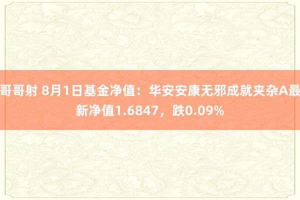 哥哥射 8月1日基金净值：华安安康无邪成就夹杂A最新净值1.6847，跌0.09%