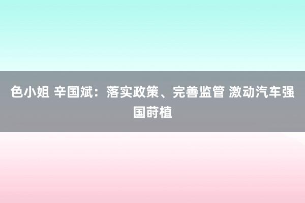 色小姐 辛国斌：落实政策、完善监管 激动汽车强国莳植