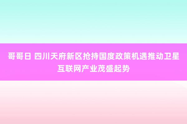 哥哥日 四川天府新区抢持国度政策机遇推动卫星互联网产业茂盛起势