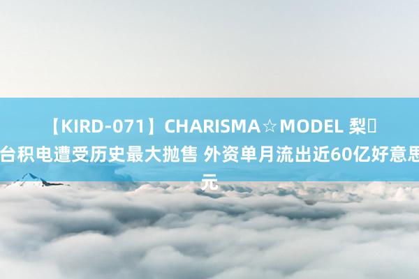 【KIRD-071】CHARISMA☆MODEL 梨々花 台积电遭受历史最大抛售 外资单月流出近60亿好意思元