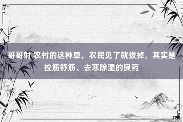 哥哥射 农村的这种草，农民见了就拔掉，其实是拉筋舒筋、去寒除湿的良药