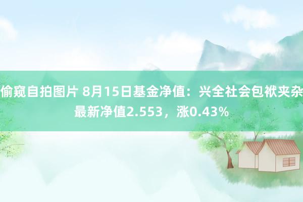 偷窥自拍图片 8月15日基金净值：兴全社会包袱夹杂最新净值2.553，涨0.43%