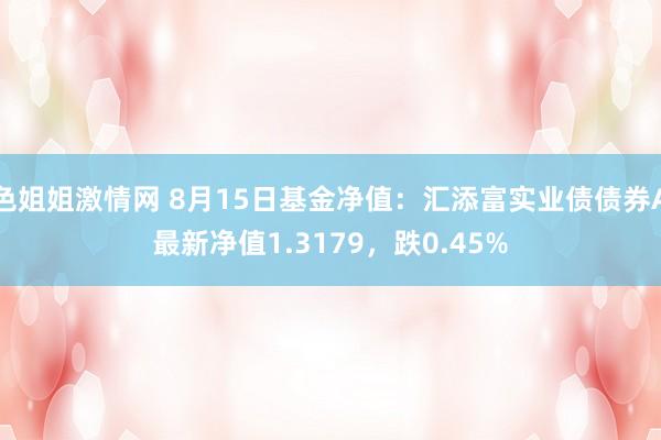 色姐姐激情网 8月15日基金净值：汇添富实业债债券A最新净值1.3179，跌0.45%