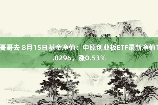 哥哥去 8月15日基金净值：中原创业板ETF最新净值1.0296，涨0.53%