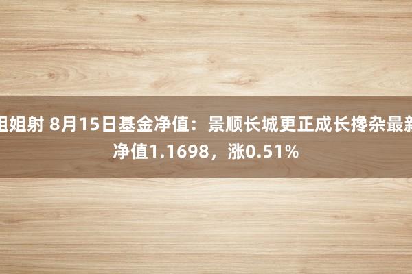 姐姐射 8月15日基金净值：景顺长城更正成长搀杂最新净值1.1698，涨0.51%