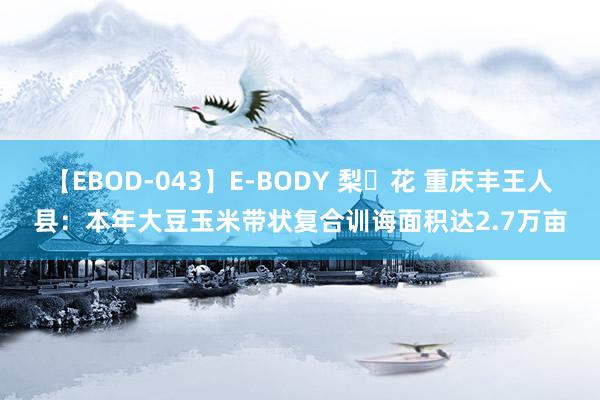 【EBOD-043】E-BODY 梨々花 重庆丰王人县：本年大豆玉米带状复合训诲面积达2.7万亩