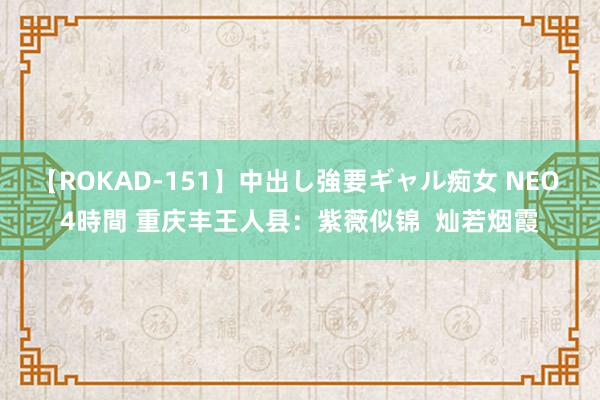 【ROKAD-151】中出し強要ギャル痴女 NEO 4時間 重庆丰王人县：紫薇似锦  灿若烟霞