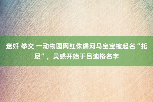 迷奸 拳交 一动物园网红侏儒河马宝宝被起名“托尼”，灵感开始于吕迪格名字