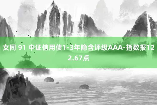 女同 91 中证信用债1-3年隐含评级AAA-指数报122.67点