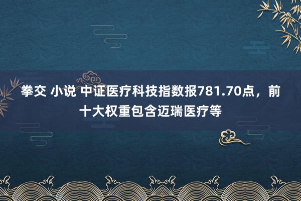 拳交 小说 中证医疗科技指数报781.70点，前十大权重包含迈瑞医疗等