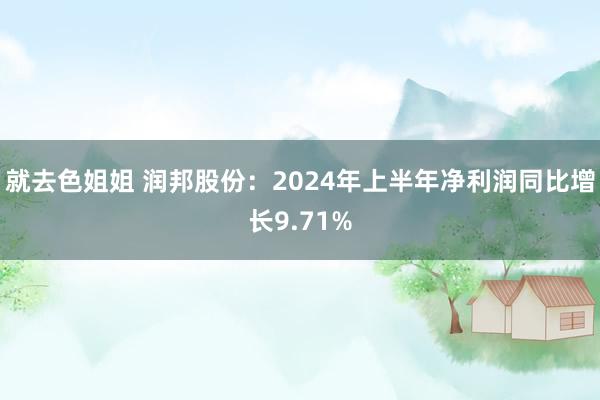 就去色姐姐 润邦股份：2024年上半年净利润同比增长9.71%