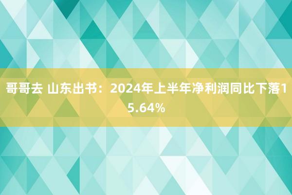 哥哥去 山东出书：2024年上半年净利润同比下落15.64%