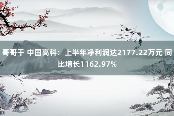 哥哥干 中国高科：上半年净利润达2177.22万元 同比增长1162.97%