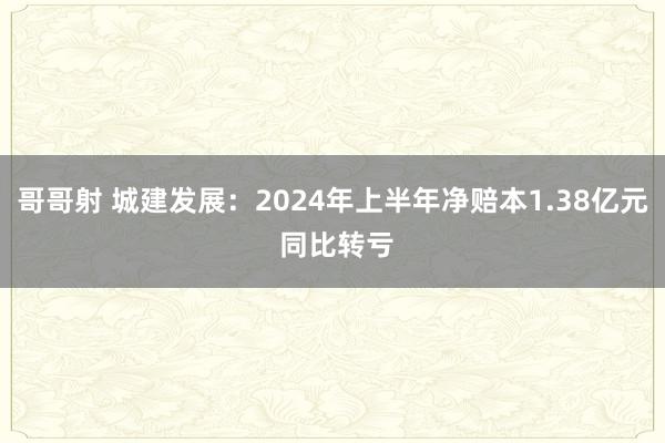 哥哥射 城建发展：2024年上半年净赔本1.38亿元 同比转亏