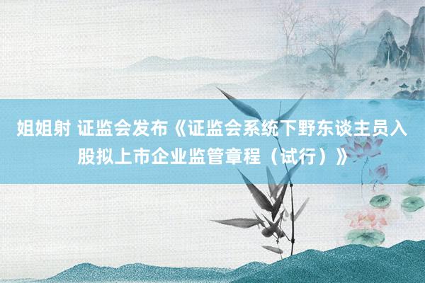 姐姐射 证监会发布《证监会系统下野东谈主员入股拟上市企业监管章程（试行）》