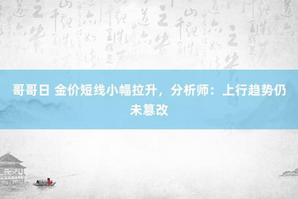 哥哥日 金价短线小幅拉升，分析师：上行趋势仍未篡改