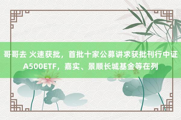 哥哥去 火速获批，首批十家公募讲求获批刊行中证A500ETF，嘉实、景顺长城基金等在列