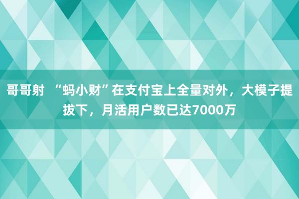 哥哥射  “蚂小财”在支付宝上全量对外，大模子提拔下，月活用户数已达7000万