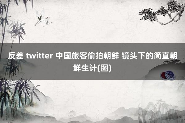 反差 twitter 中国旅客偷拍朝鲜 镜头下的简直朝鲜生计(图)