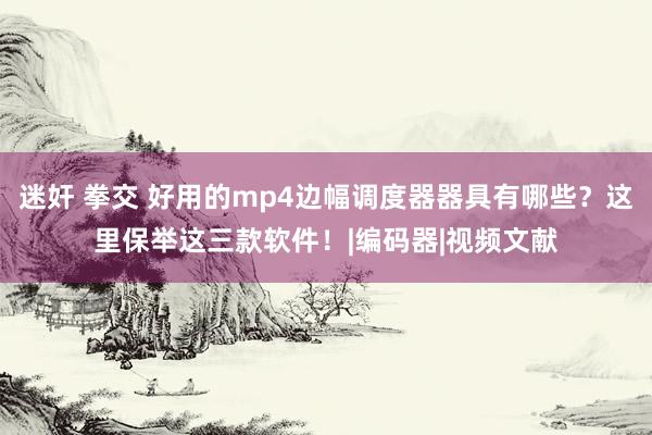 迷奸 拳交 好用的mp4边幅调度器器具有哪些？这里保举这三款软件！|编码器|视频文献