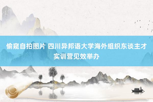 偷窥自拍图片 四川异邦语大学海外组织东谈主才实训营见效举办