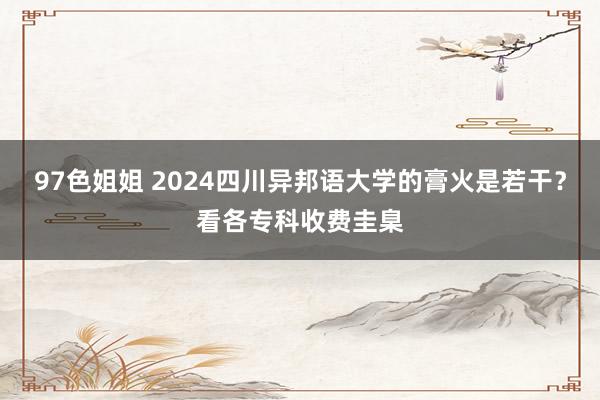 97色姐姐 2024四川异邦语大学的膏火是若干？看各专科收费圭臬