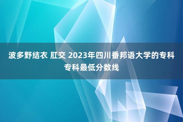 波多野结衣 肛交 2023年四川番邦语大学的专科专科最低分数线